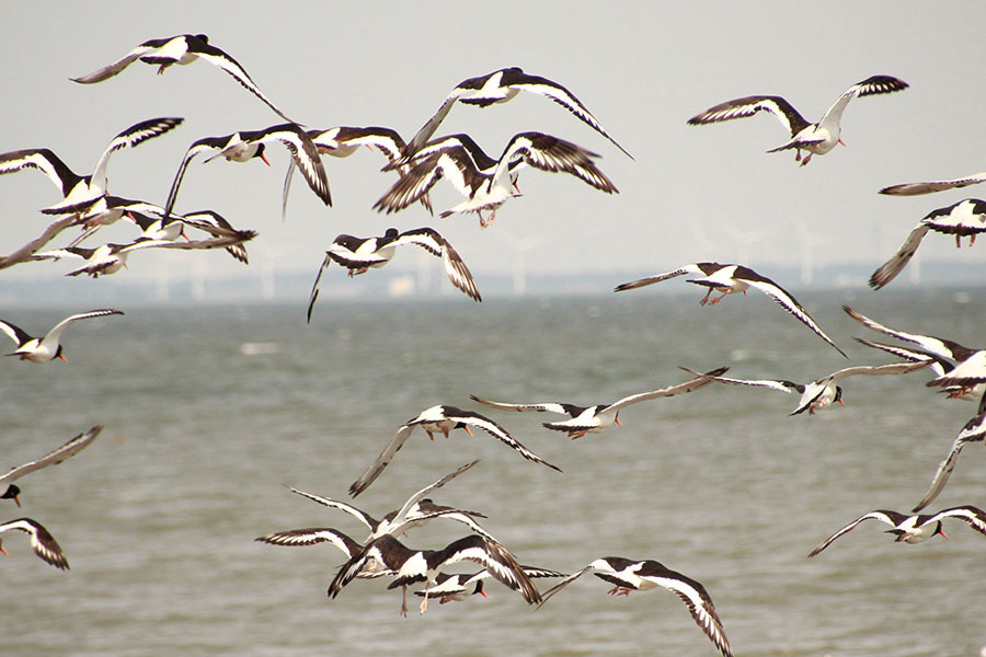 familienurlaub-nordsee